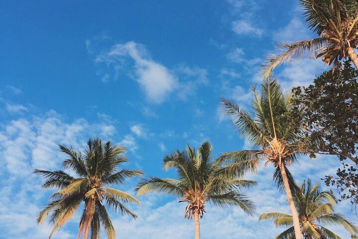 Hotel G Beach Resort and Restobar in Bolinao