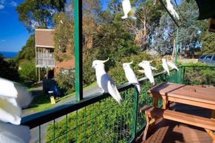 Terrace/Patio 20 of 20