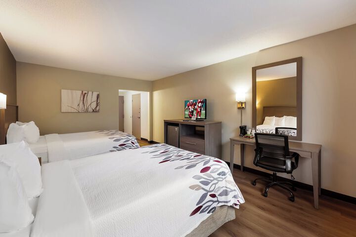 Studio 2 Double Beds (4 of 8)