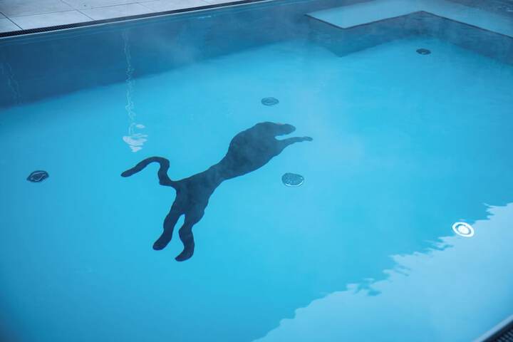 Pool 28 of 67