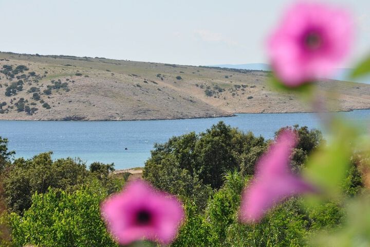 Bela sea View A1