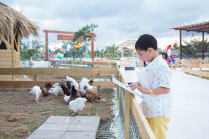 Childrens Activities 17 of 73