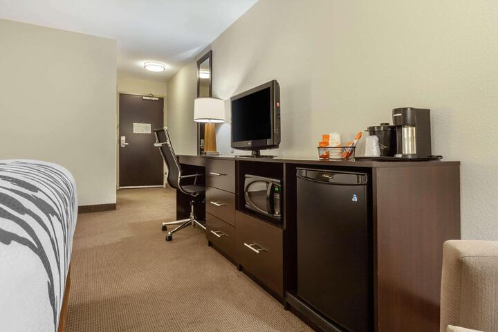 1 King Bed Accessible (17 of 18)