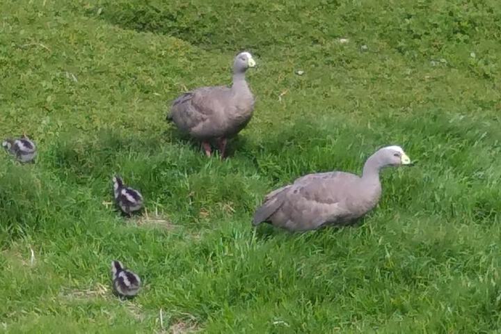 Hotel Exterior 92 of 121