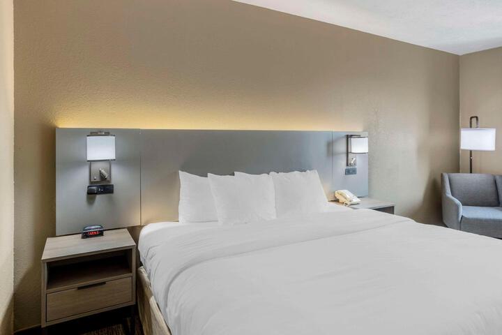 1 King Bed Accessible (3 of 10)