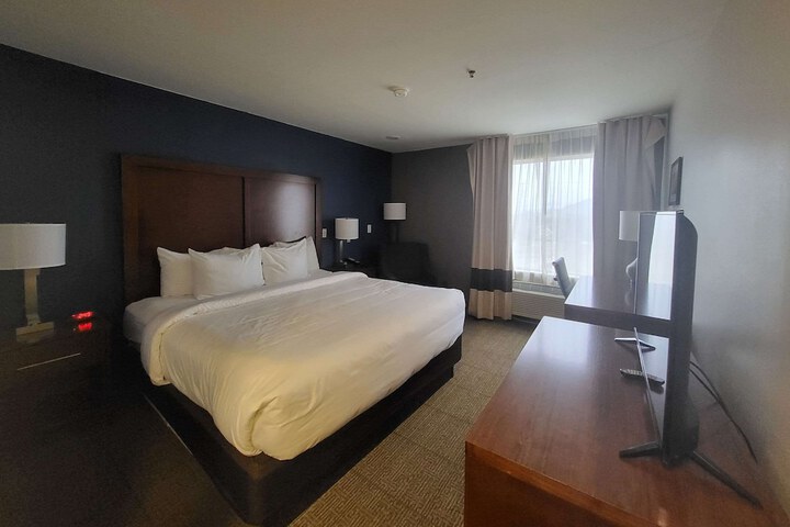 1 King Bed (10 of 14)