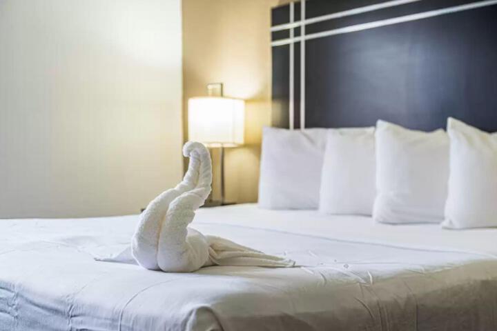 1 King Bed Promotional (27 of 28)