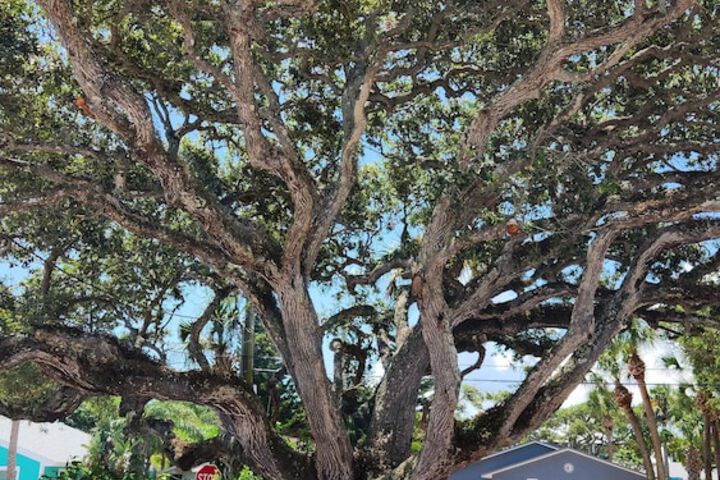 Terrace/Patio 43 of 89