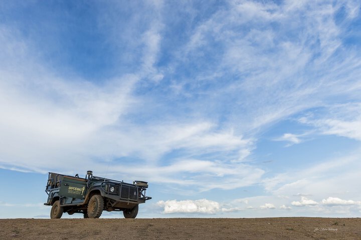 Game viewing