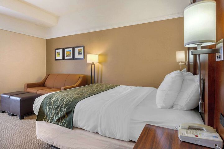 1 Queen Bed Accessible (22 of 24)