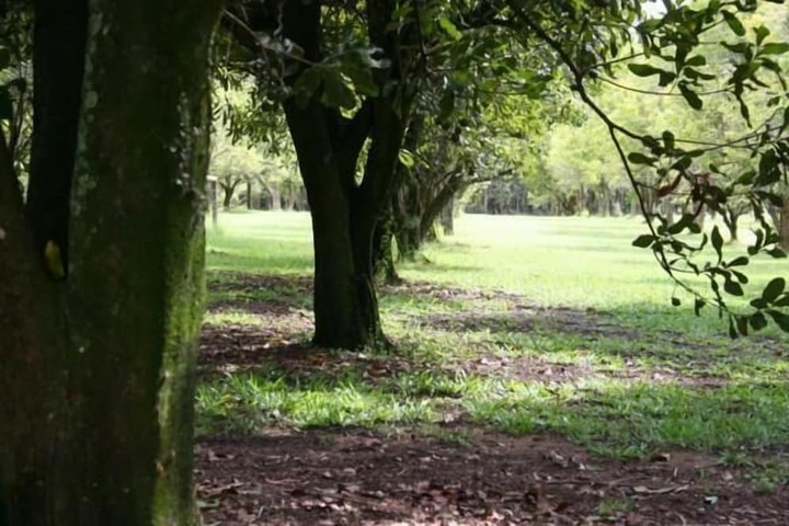 Property Grounds 20 of 36
