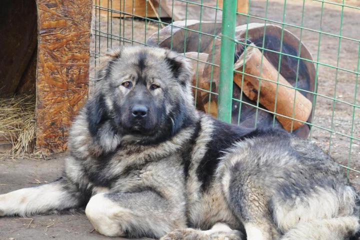 General 72 of 100
