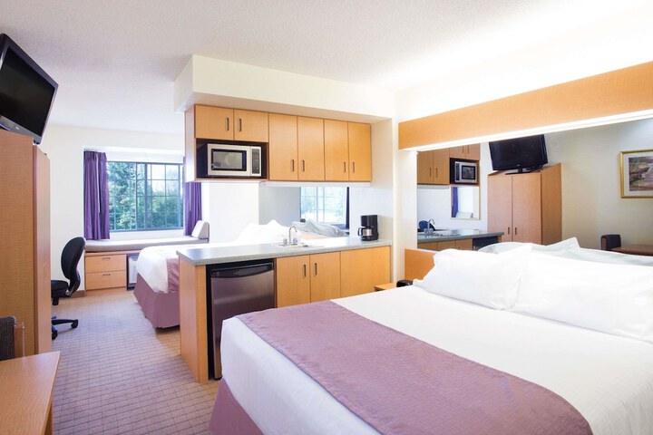 2 Queen Bed Mobility Hearing Accessible Room Roll in Shower (37 of 44)