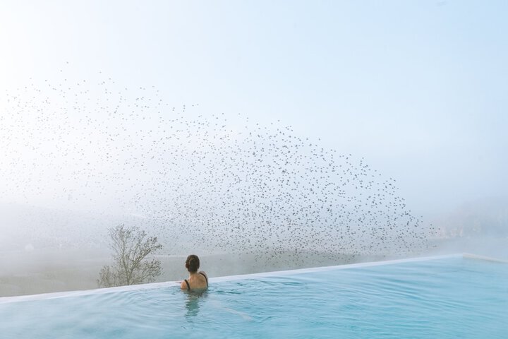 Pool 44 of 112