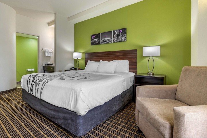 1 King Bed (5 of 7)