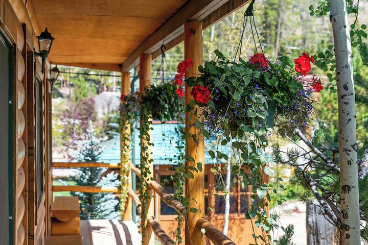 Terrace/Patio 41 of 47