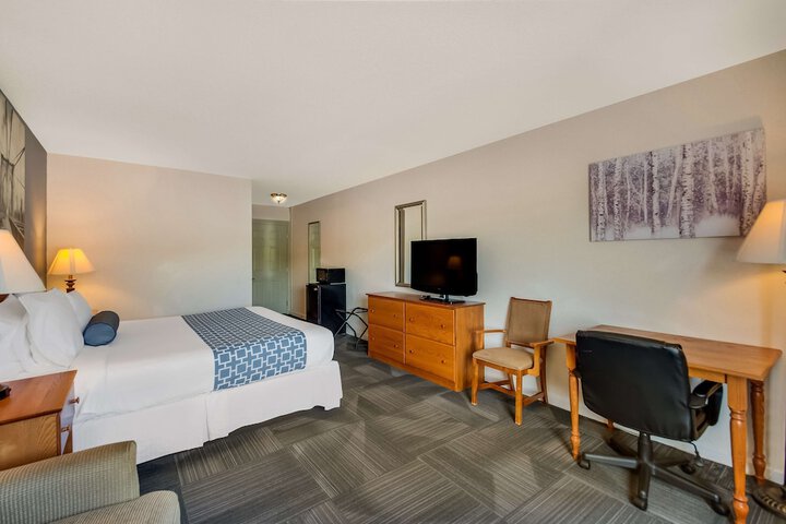 1 King Bed Mobility Accessible Communication Assistance Roll in Shower Full Breakfast (17 of 18)