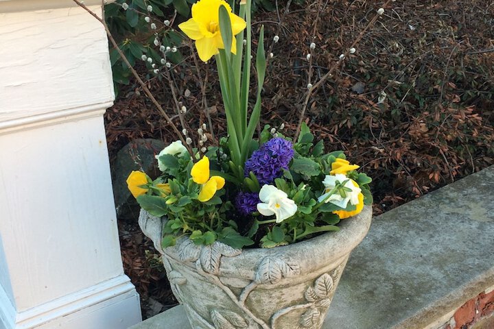 Hotel Exterior 100 of 115