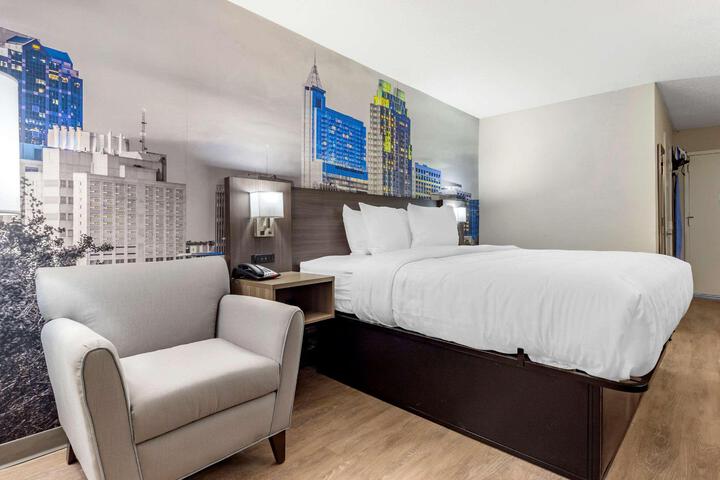 Standard King Bed Accessible (4 of 14)