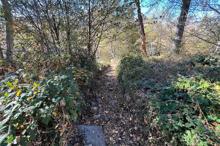 Property Grounds 79 of 92