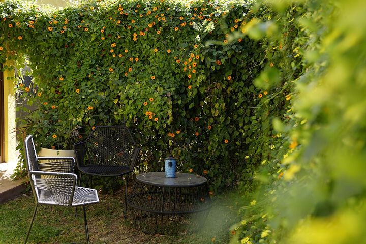 Terrace/Patio 18 of 40