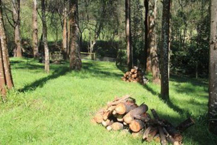 Property Grounds 50 of 55