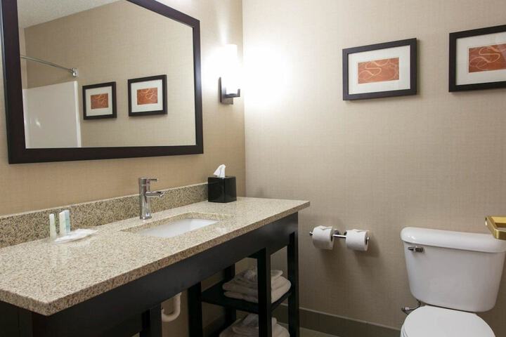 1 King Bed Accessible (4 of 8)