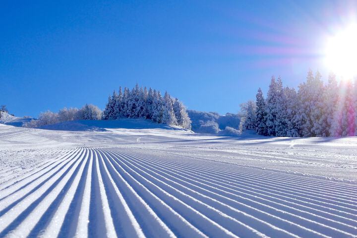 Skiing