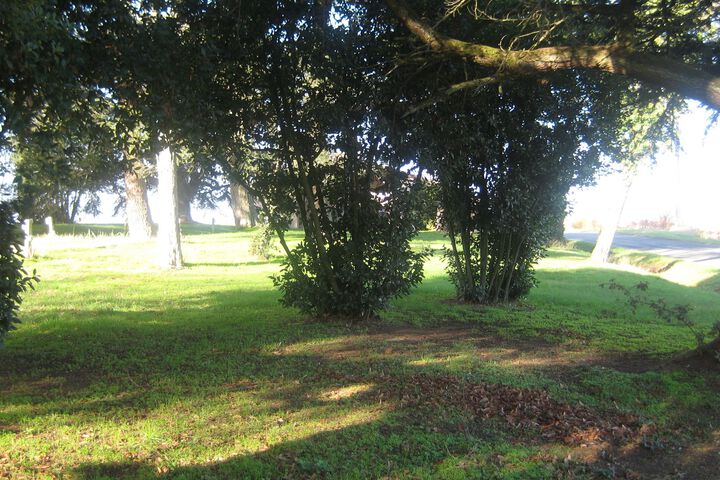 Property Grounds 6 of 11