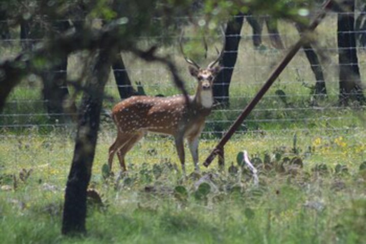 Hotel View 436 of 459