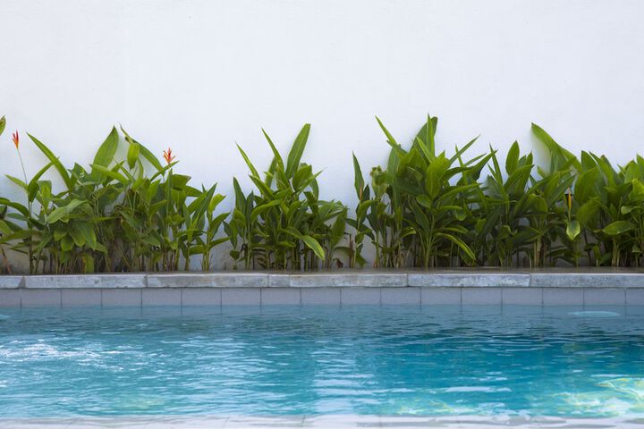 Pool 37 of 66