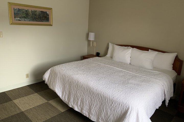 1 King Bed (25 of 46)