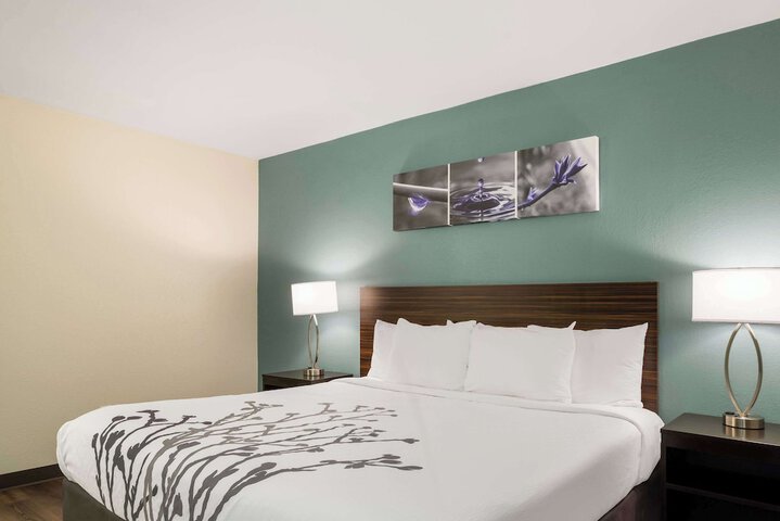 1 King Bed (11 of 18)