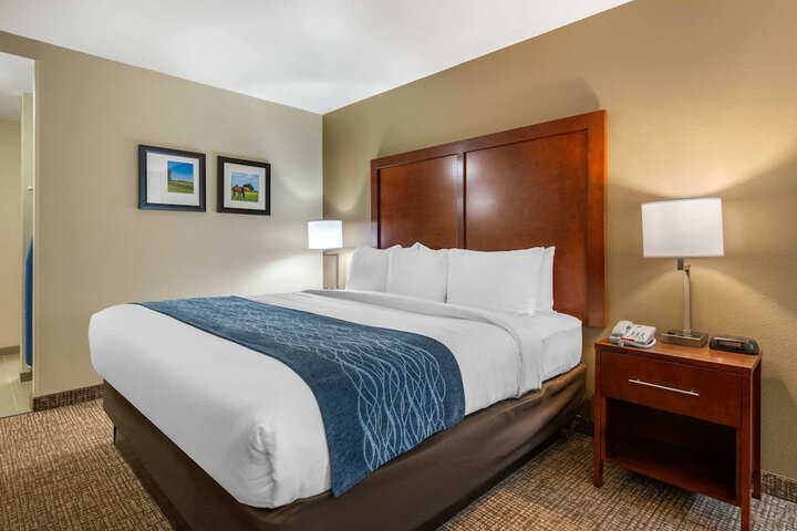 1 King Bed (9 of 24)