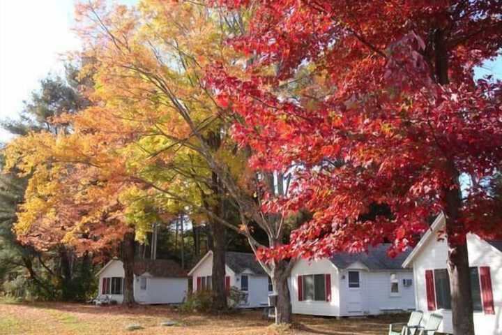 The Cabins at Autumn Mountain Winery in Brandon, VT