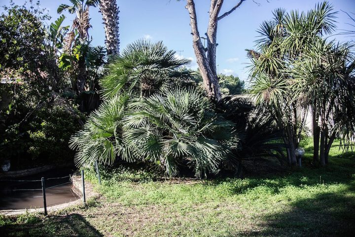CASINA DELLE ARTI