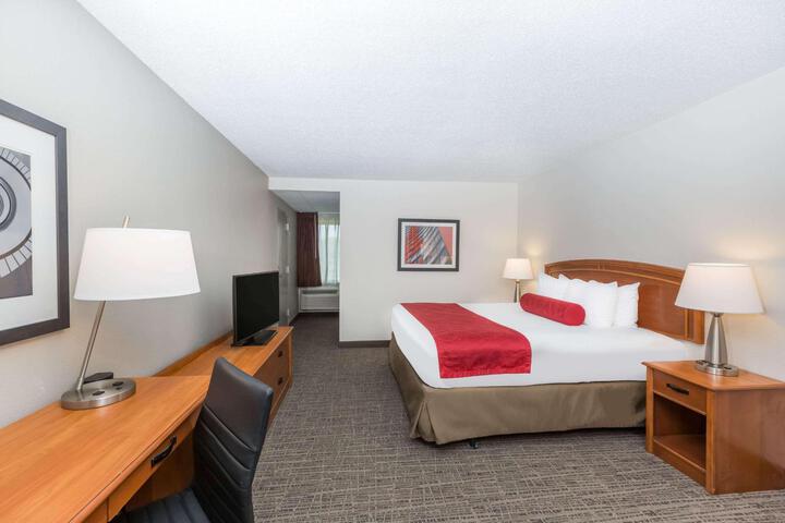 1 King Bed (1 of 5)