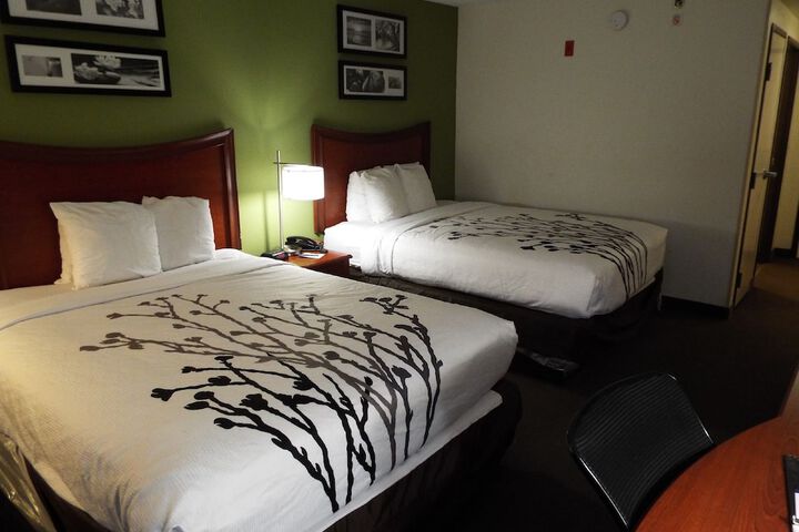 2 Double Beds (6 of 9)