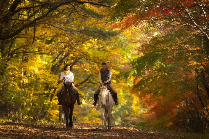 Horseback riding