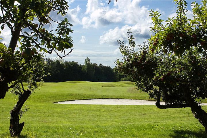 Golf 35 of 45