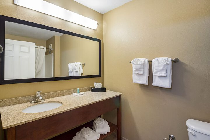 1 King Bed Suite (10 of 22)