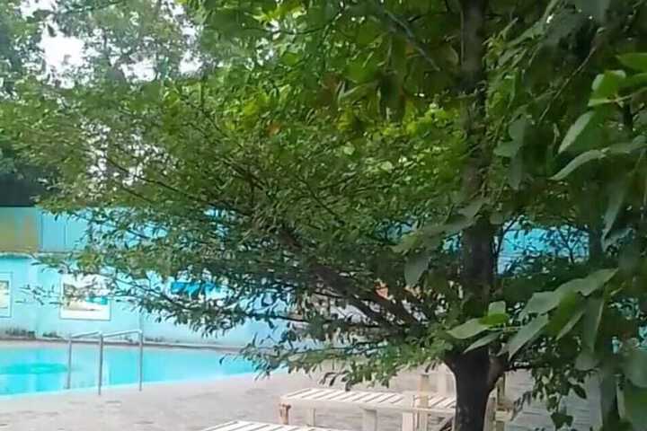 Pool 13 of 44