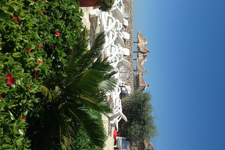 Hotel Exterior 48 of 62