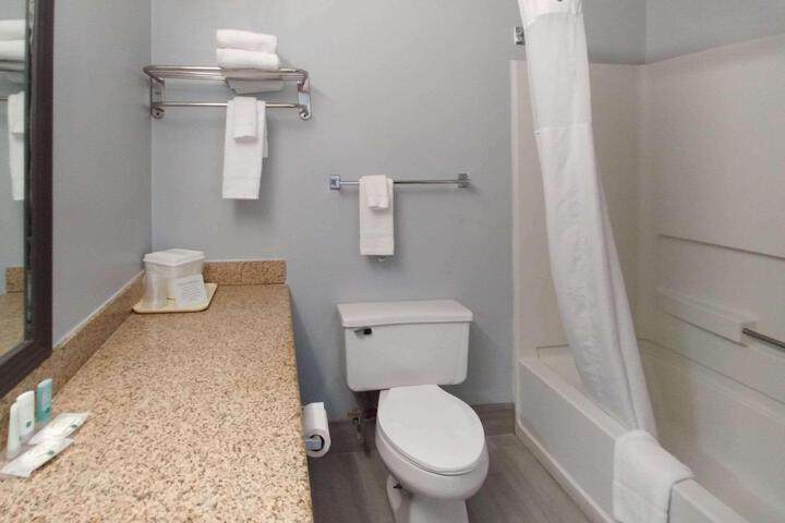 1 King Bed Accessible (7 of 9)