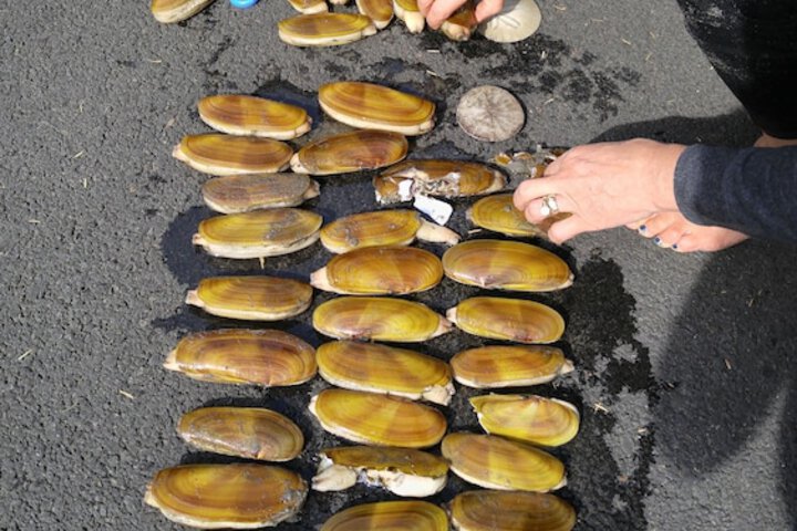 Property Grounds 150 of 194