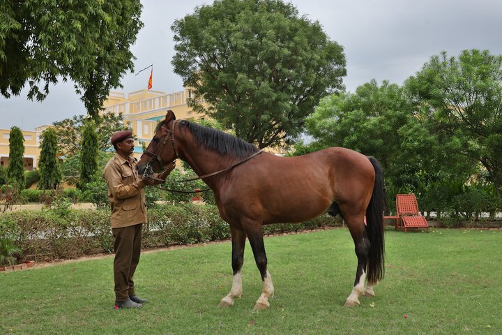 General 33 of 60