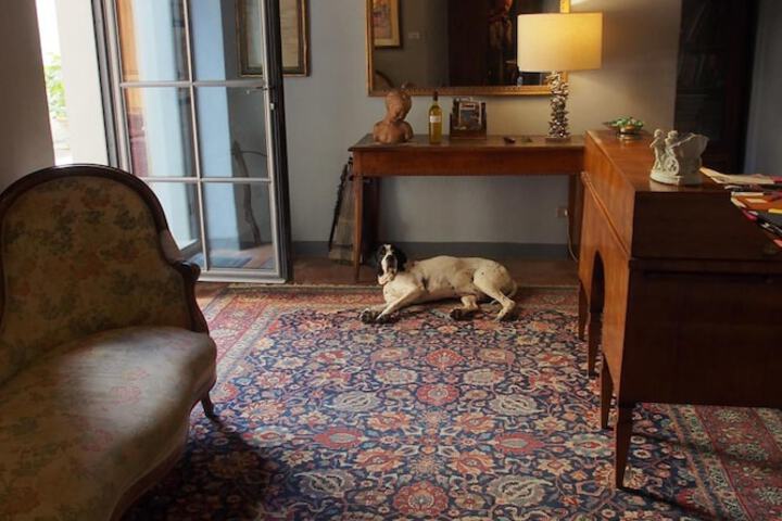 Living room