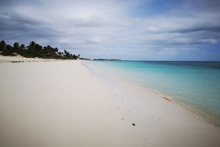 Beach 46 of 56