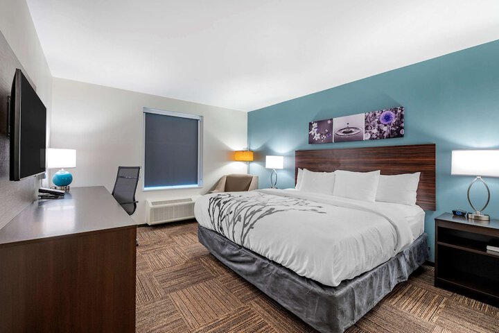 1 King Bed (4 of 7)