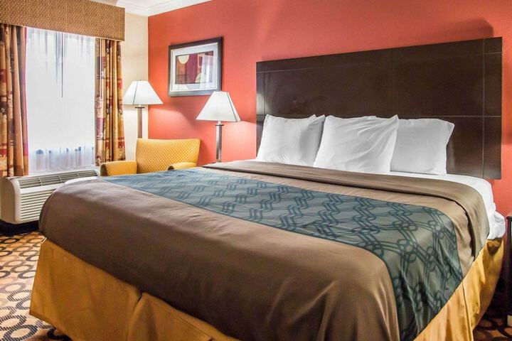 1 King Bed (9 of 14)